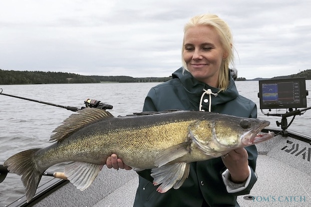 Pelagic Sharpshooting