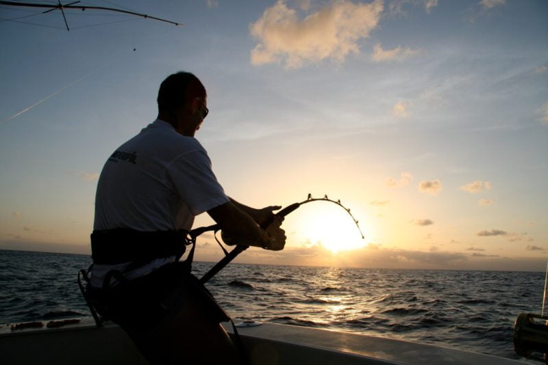 Stang up Marlin Fishing