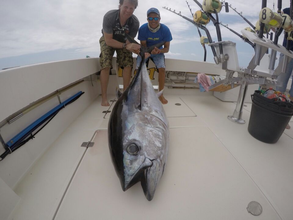 Big Eye Tuna caught in Gran Canaria
