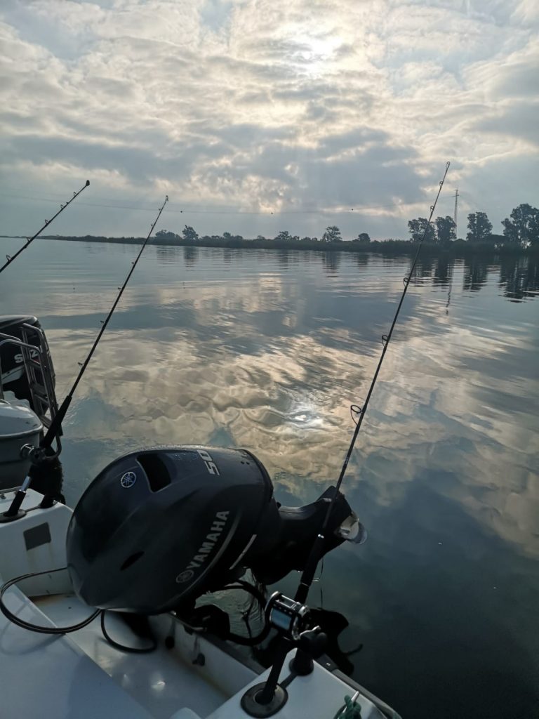 Ebro Delta fishing in October 2019