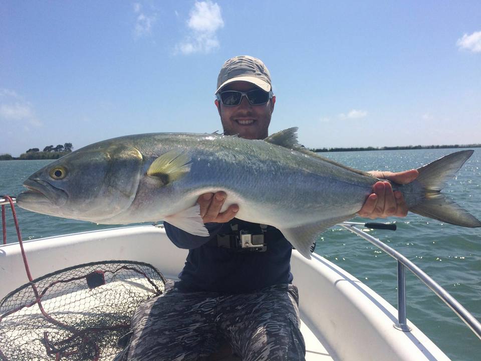 Nice Bluefish caught on top water lure
