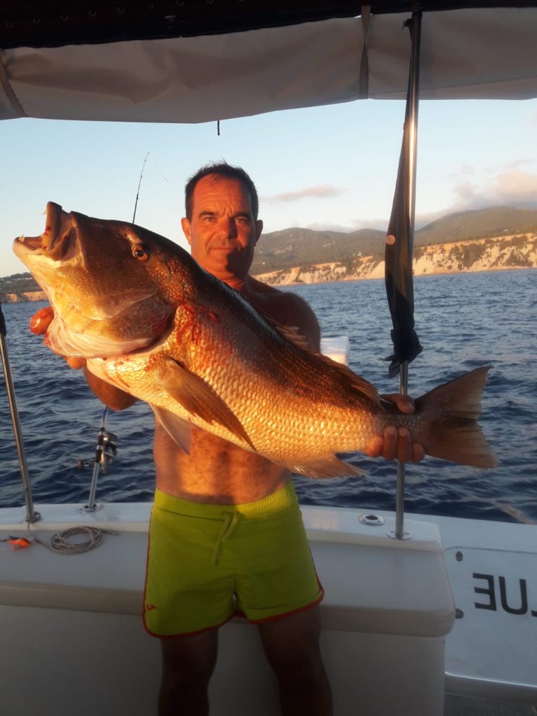 Massive Dentex caught with live bait near Es Vedrà Island in Ibiza