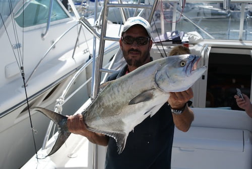 Palometon a currican