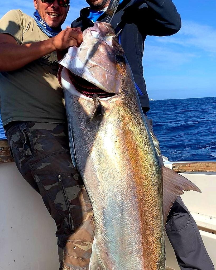Big Amberjack caught jigging in La Graciosa, Lanzarote