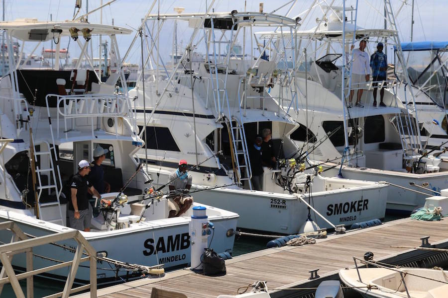 Fishing charters in Cape Verde