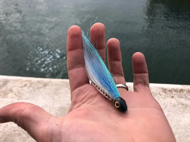 Saltwater tuna fly