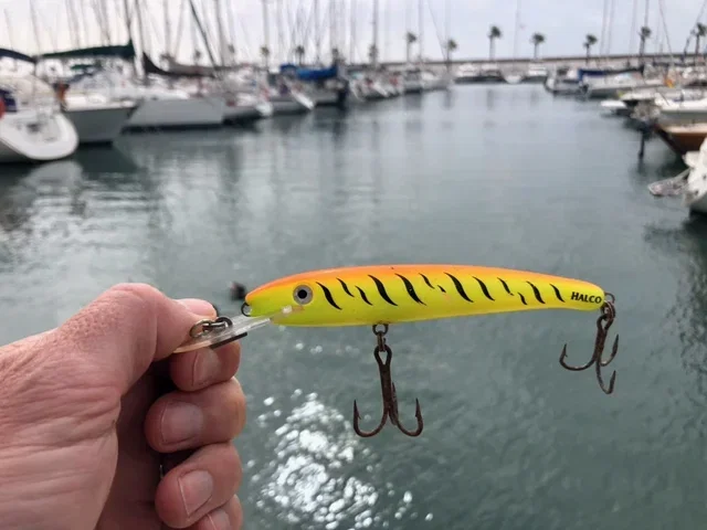 Halco saltwater plug