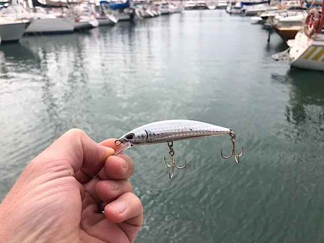 Silver jerkbait