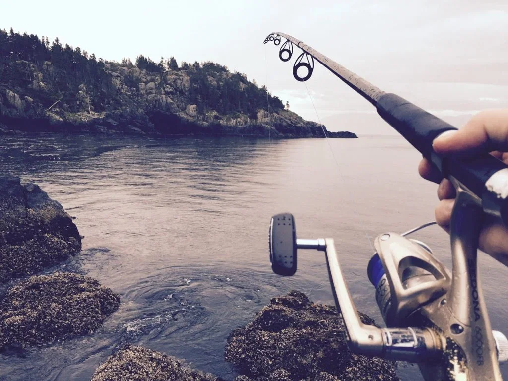 best compact fishing net The Best Fishing Net