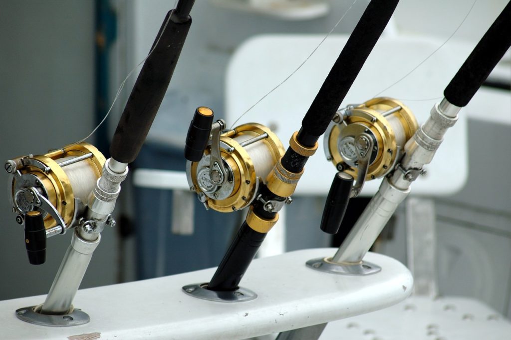 Conventional Fishing reels