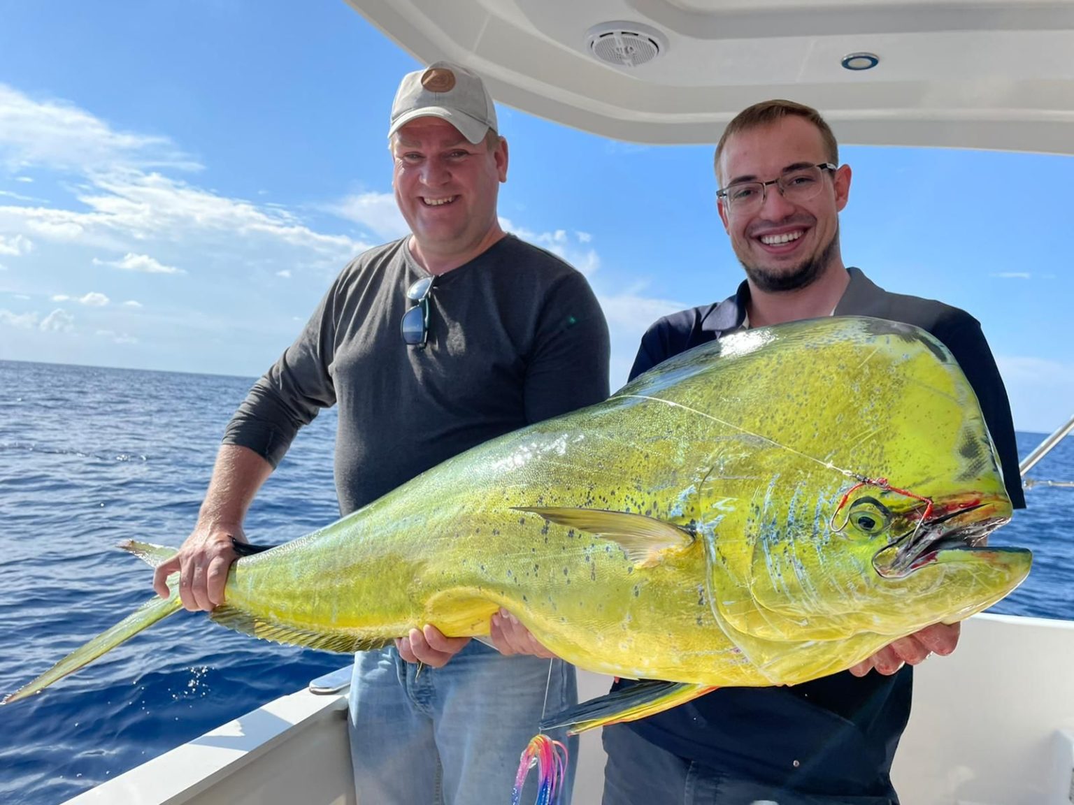 Mahi Mahi Fishing All you need to know Tom's Catch Blog