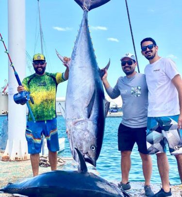Atún gigante capturado en Gandía, Valencia