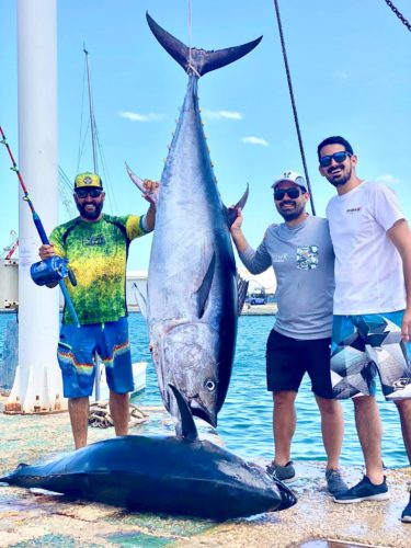 Tuna Fishing in Valencia