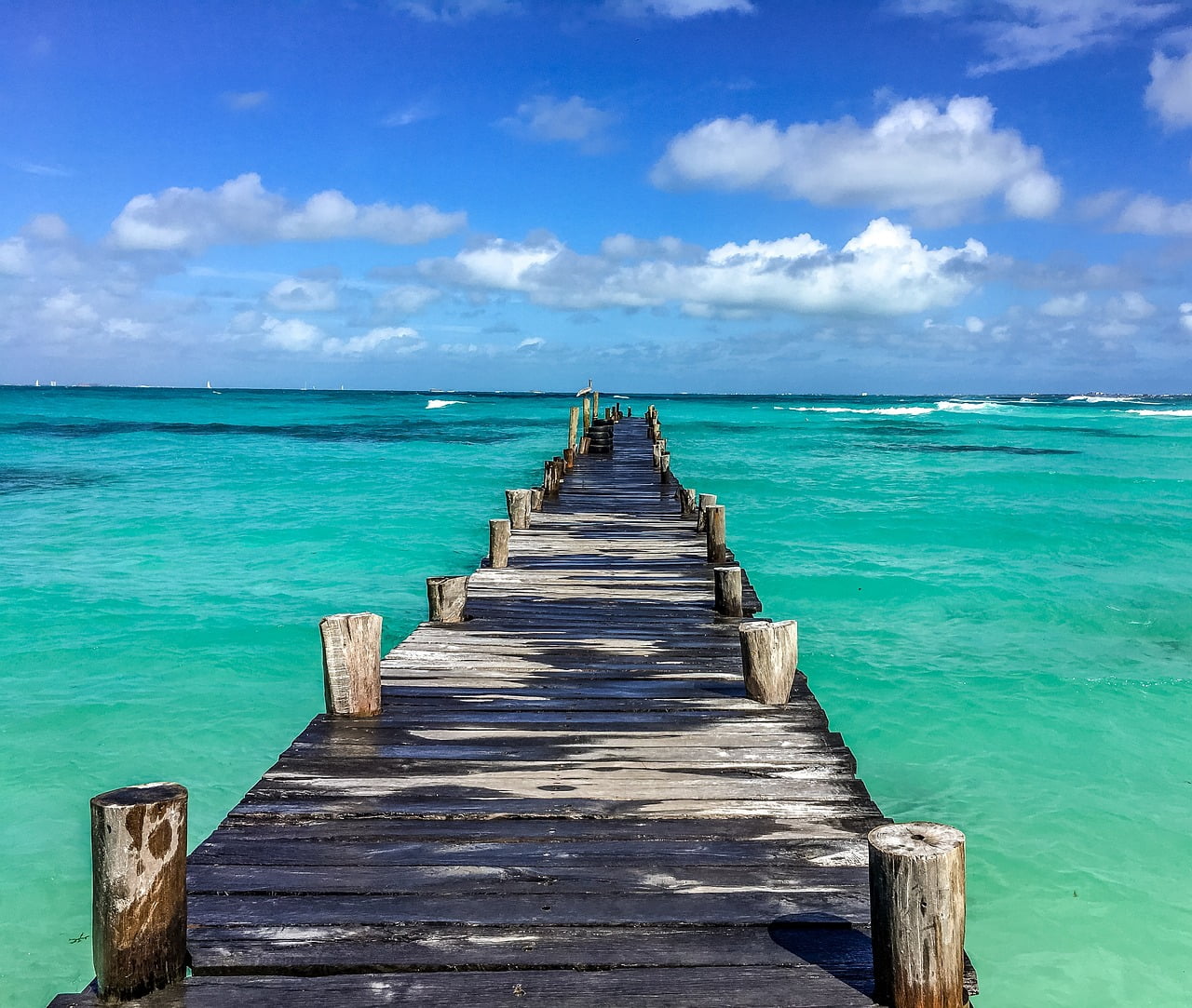 Mexican Fishing License 2023 | Tom's Catch Blog