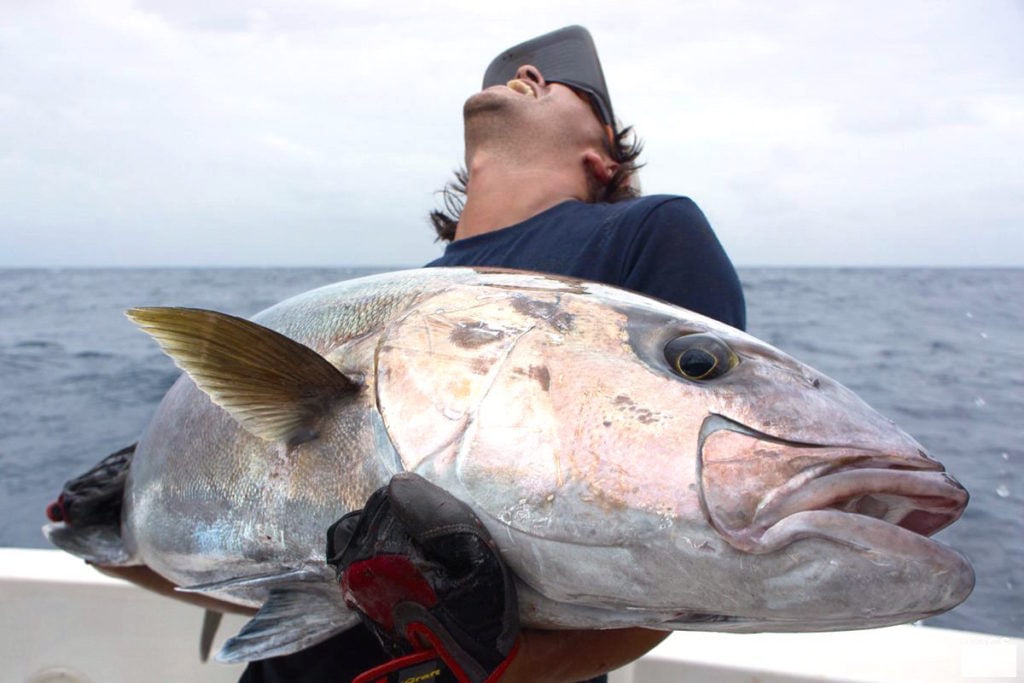 The most exciting fishing species of Cape Verde