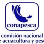 Conapesca fishing license mexico