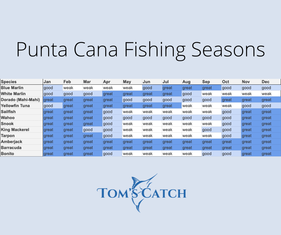 Punta Cana Fishing Seasons Calendar