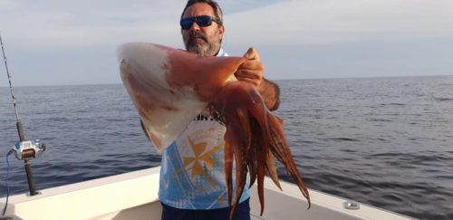 Pesca del calamar gigante en Fuerteventura