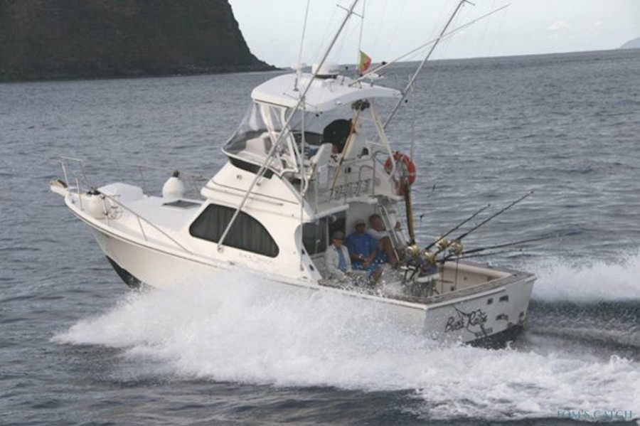 Charter de pesca Boca Raton