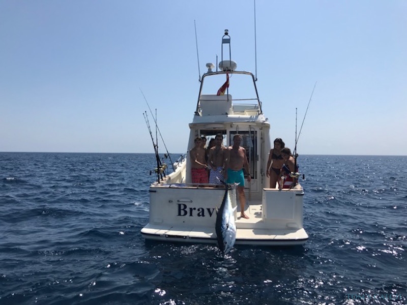 Charter de pesca Bravo