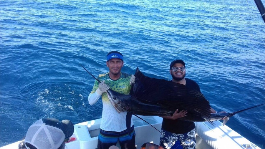 Charter de pesca Cabo Marlini 31