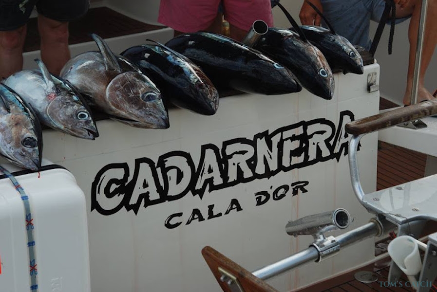 Charter de pesca Cadarnera