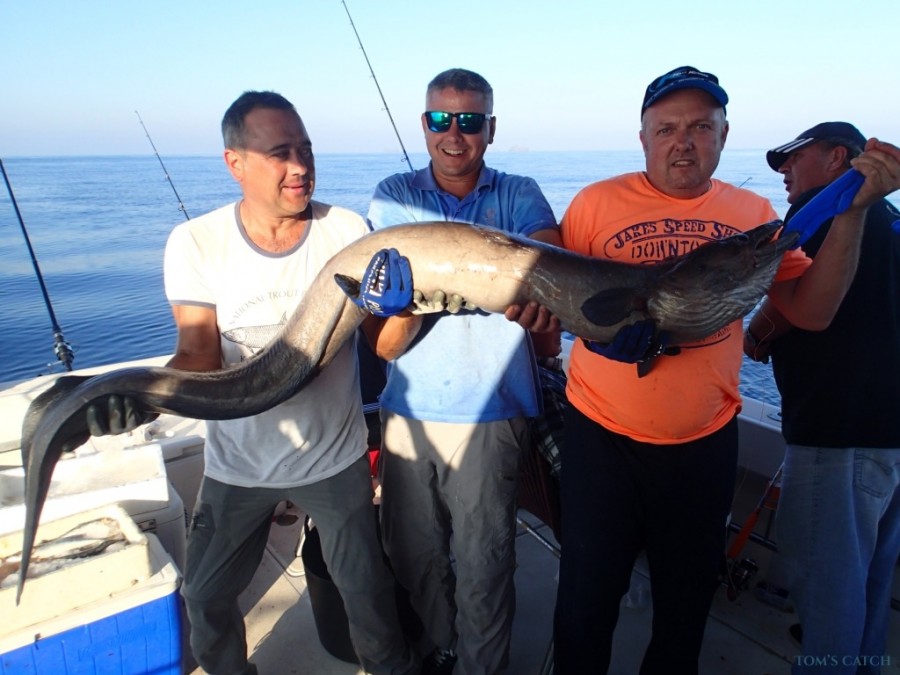 Charter de pesca Casamar Dos