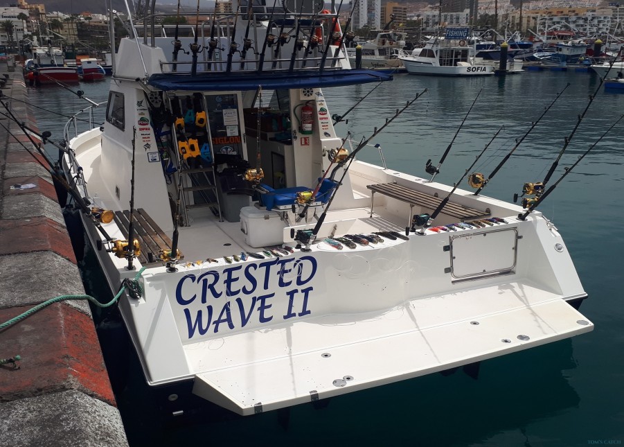Charter de pesca Crested Wave