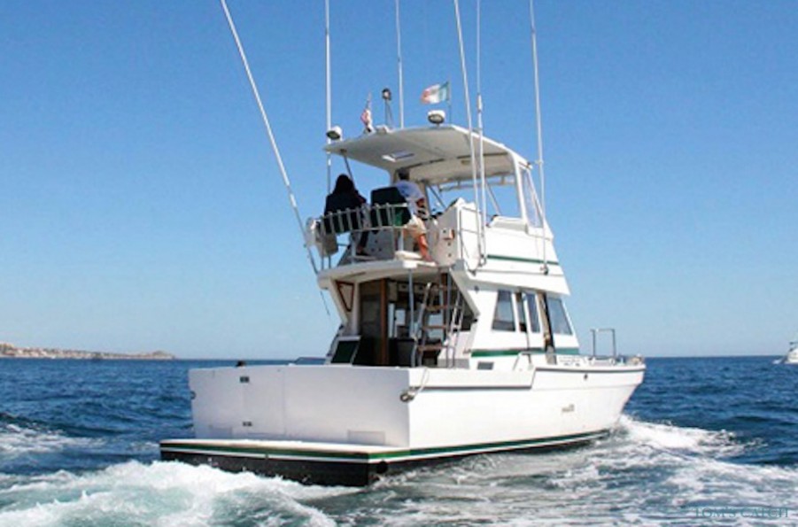 Charter de pesca Custom 42
