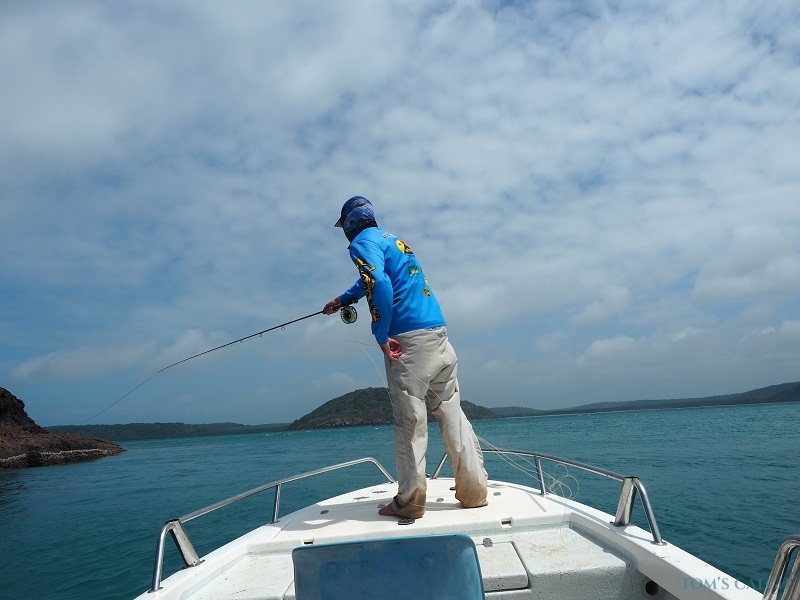 Charter de pesca CY Fishing Charters  