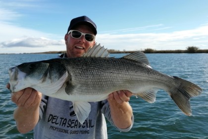 Delta Seadevil Deltebre pesca