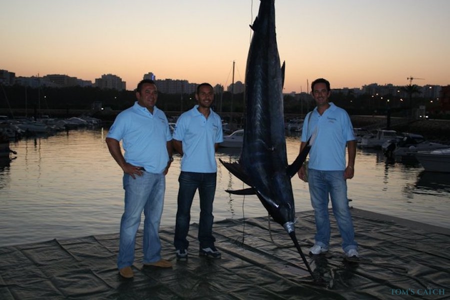Charter de pesca Donzela