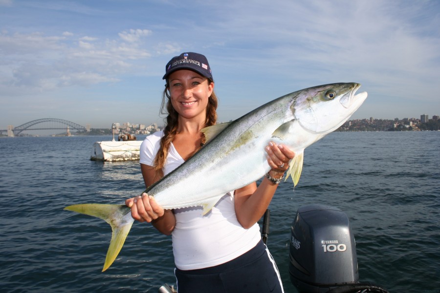 Charter de pesca Fishabout