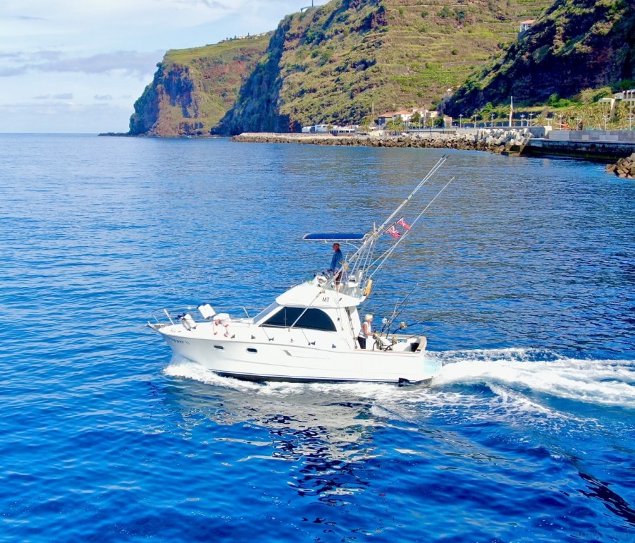 Charter de pesca Flipper II