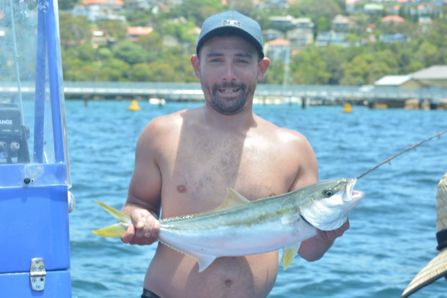 Charter de pesca Foreshore Fishing Tours