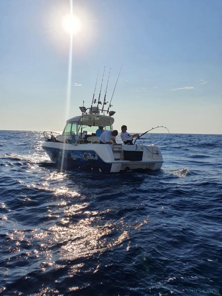 Charter de pesca Maxi - Faeton Moraga