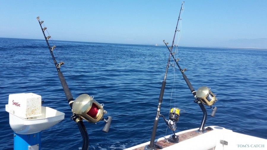 Charter de pesca Maxi - Faeton Moraga