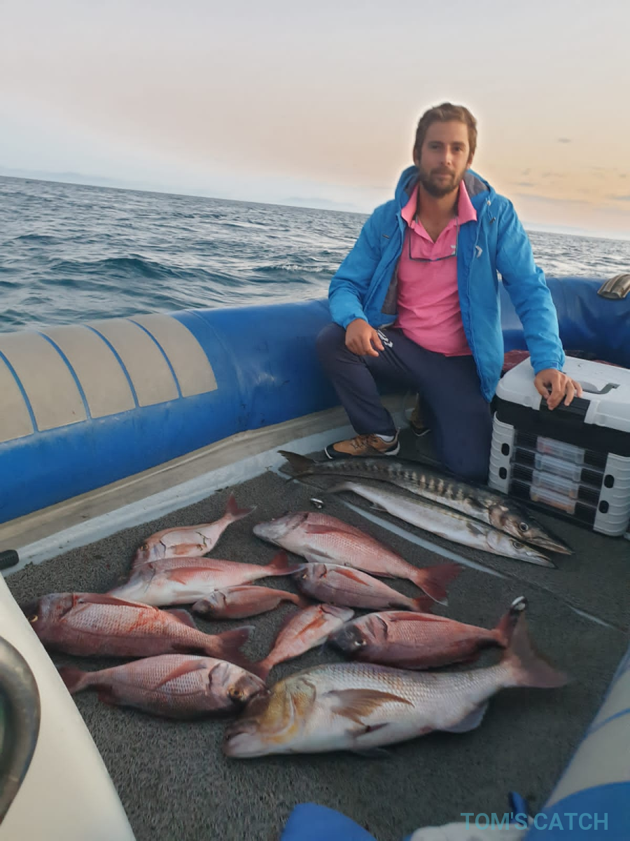 Charter de pesca Narwhal 580hd