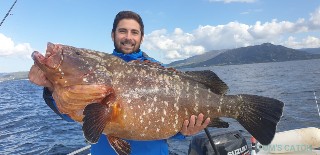 Charter de pesca Narwhal 580hd