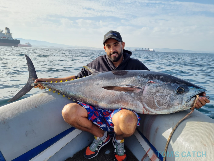 Charter de pesca Narwhal 620WB