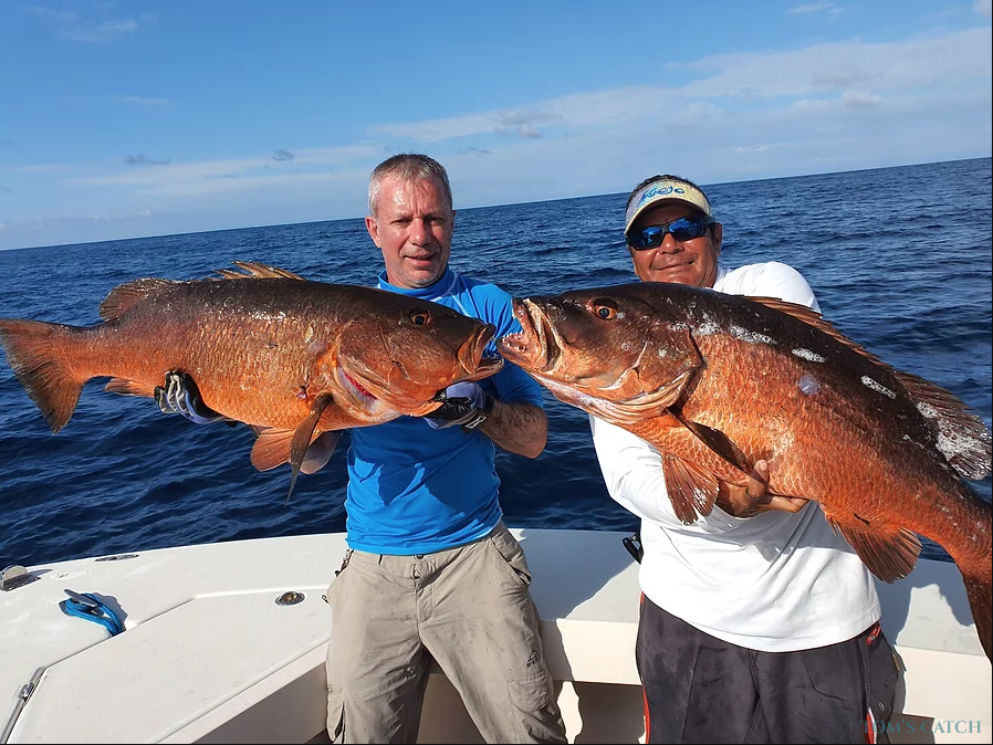 Charter de pesca Pacific Dream Fishing