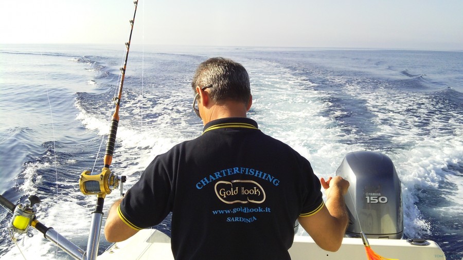 Charter de pesca Pursuit 2570 Offshore