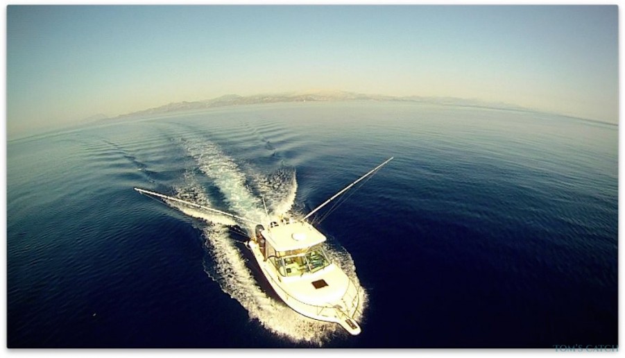 Charter de pesca Pursuit 2570 Offshore