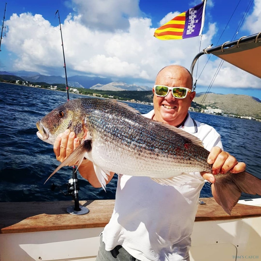 Charter de pesca Royal Charters Mallorca Rodman 1250
