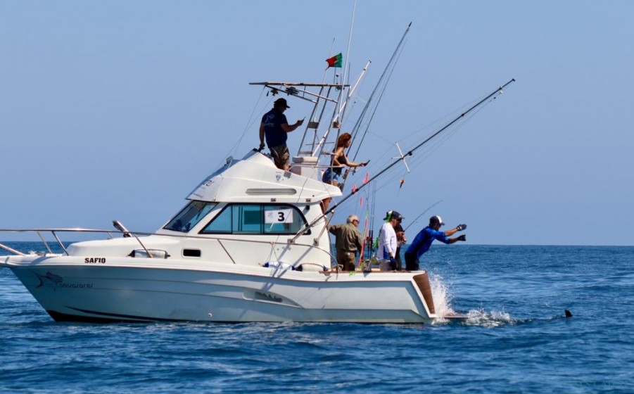 Charter de pesca Safio