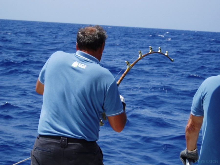 Charter de pesca SANTA CRUZ II