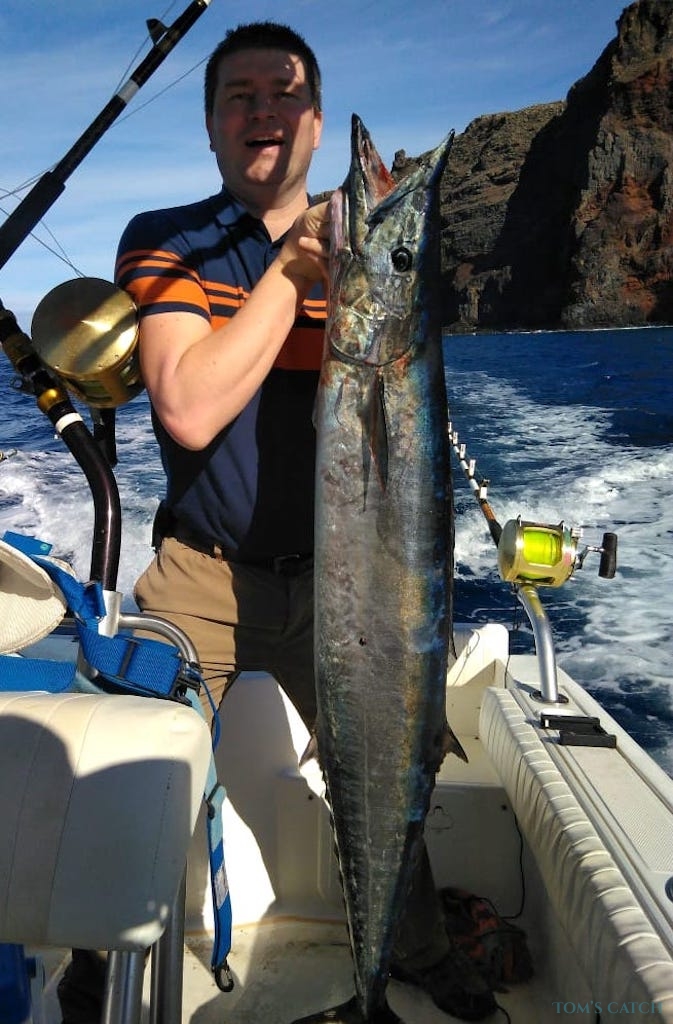 Charter de pesca Sea Fox 236 Madeira Sea Fishing