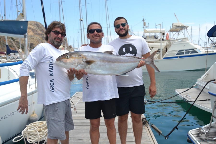 Charter de pesca Sedal