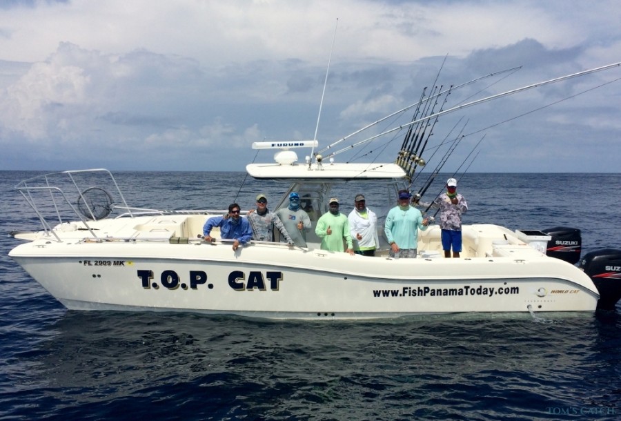 Charter de pesca Top Cat