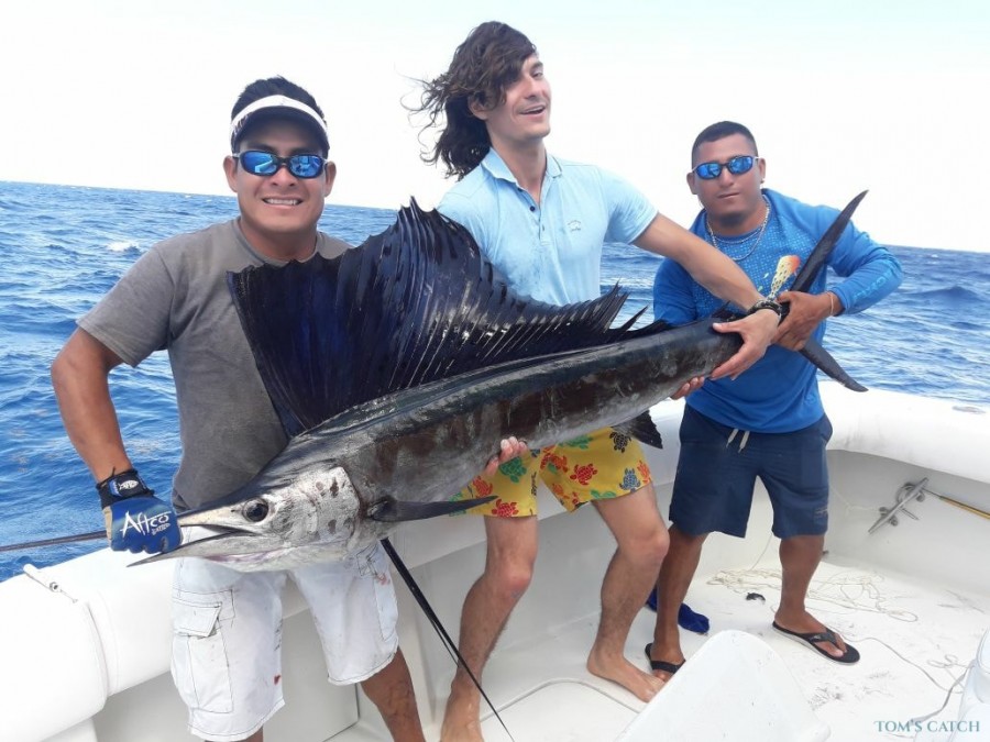 Charter de pesca Wasabi 32 Blackfin